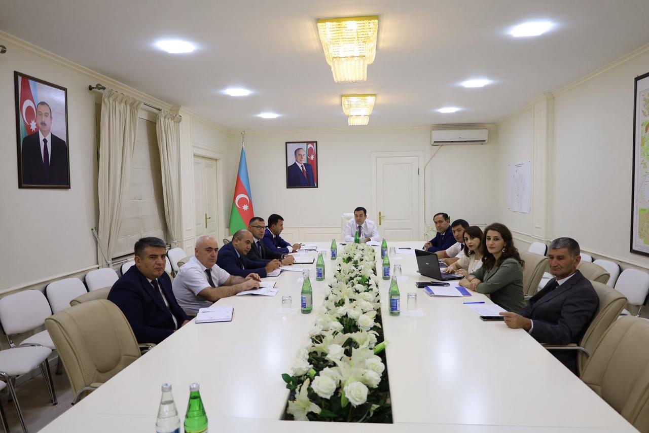 WhatsApp Image 2025-09-11 at 16.12.08.jpeg