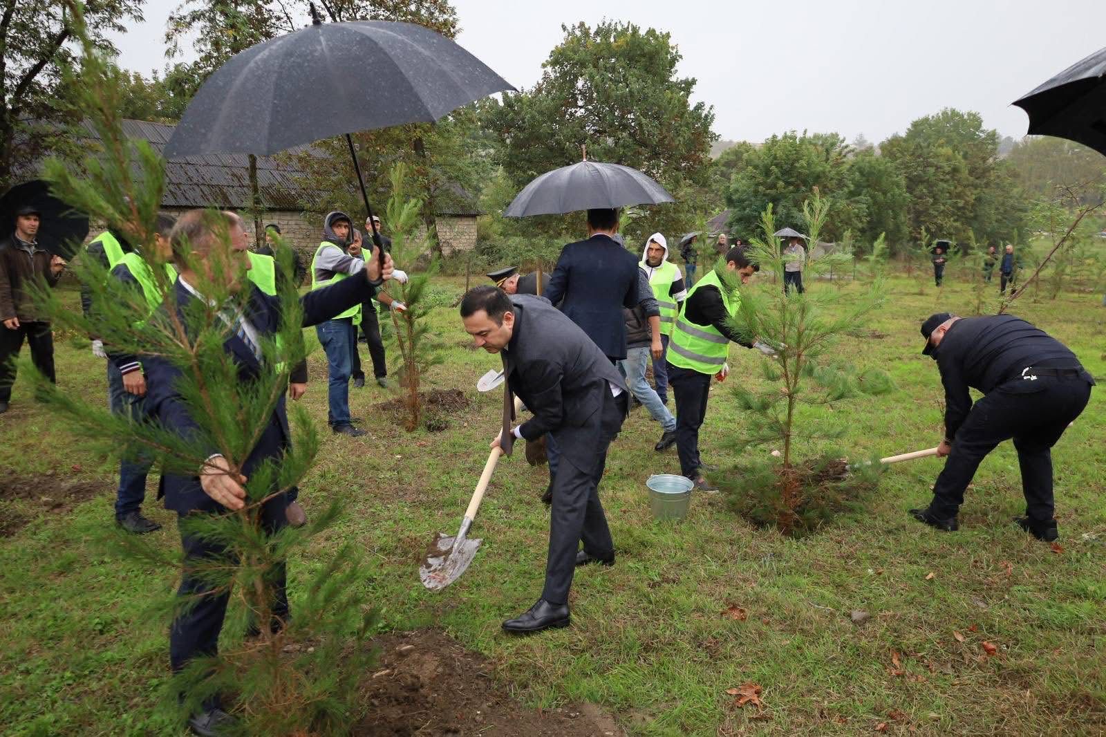 WhatsApp Image 2025-09-27 at 19.47.44.jpeg