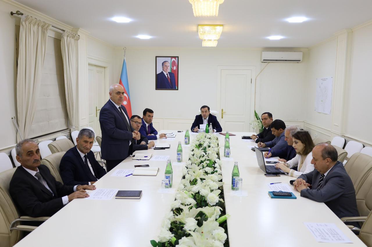 WhatsApp Image 2025-06-18 at 17.21.55.jpeg