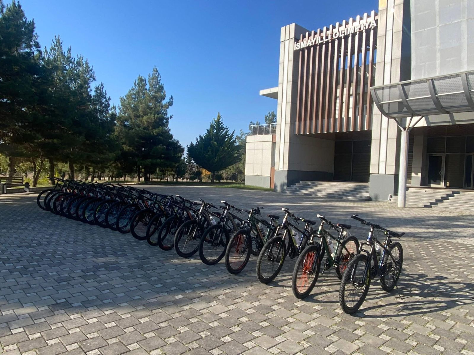 WhatsApp Image 2025-11-26 at 12.25.49.jpeg