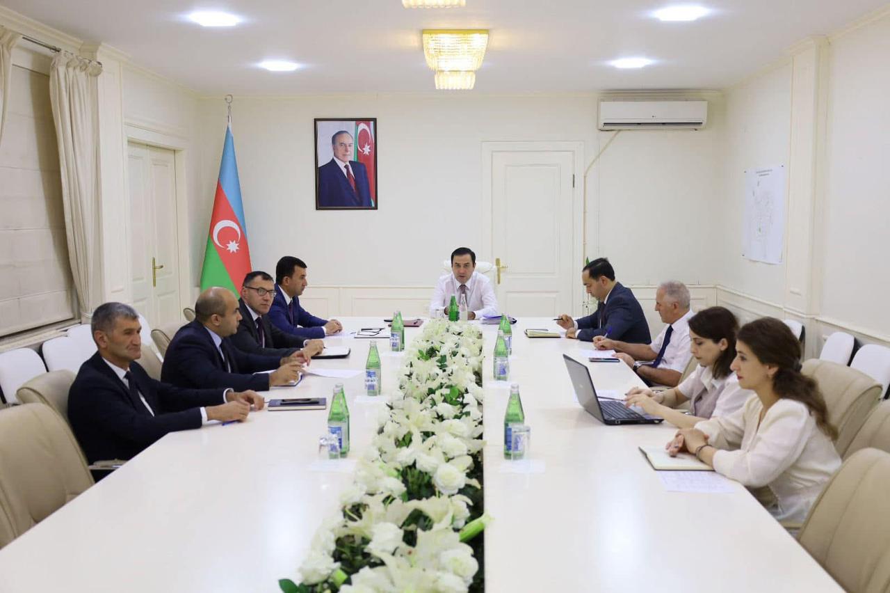 WhatsApp Image 2025-07-17 at 17.31.54.jpeg