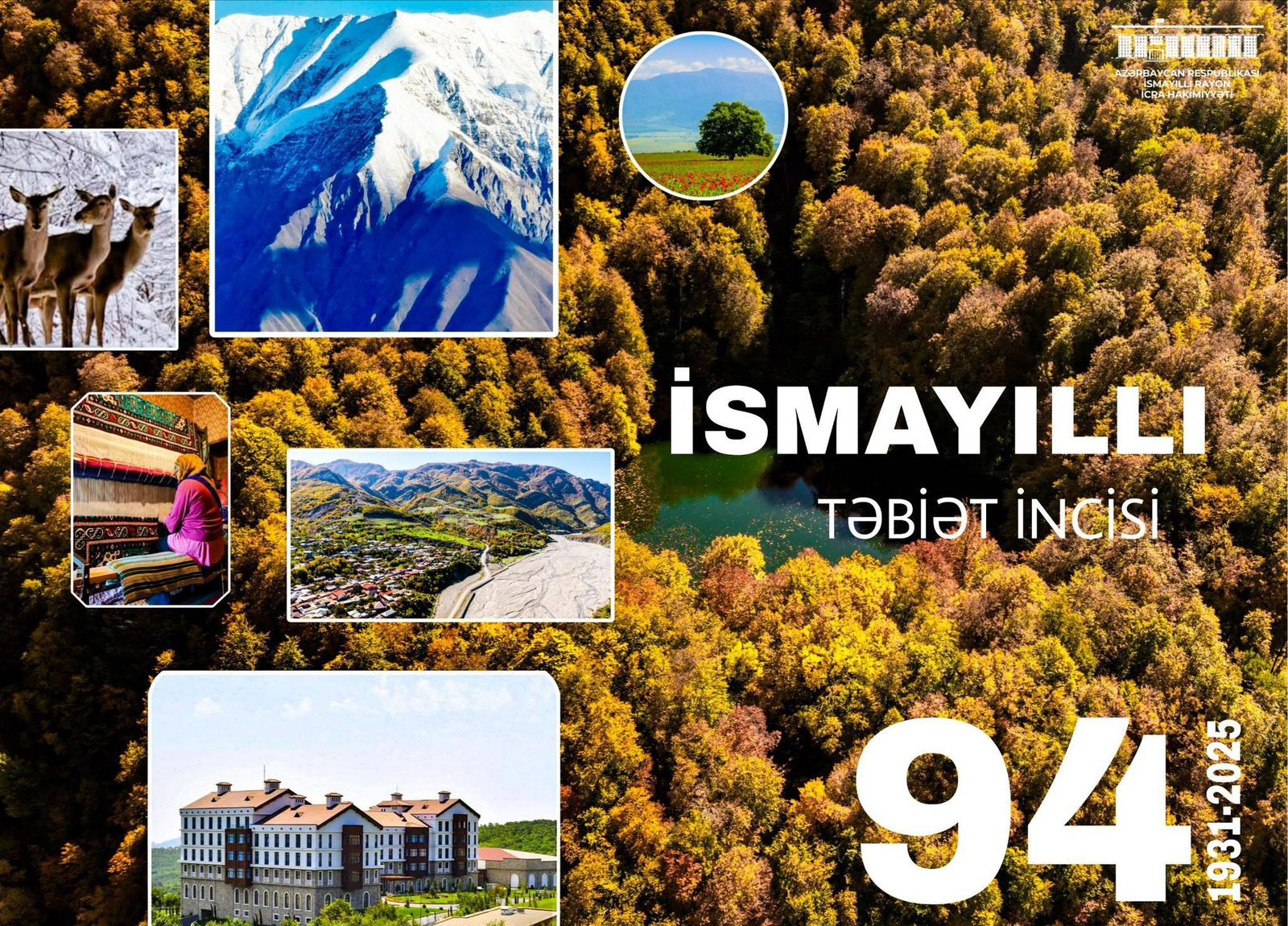 WhatsApp Image 2025-11-24 at 11.30.11.jpeg