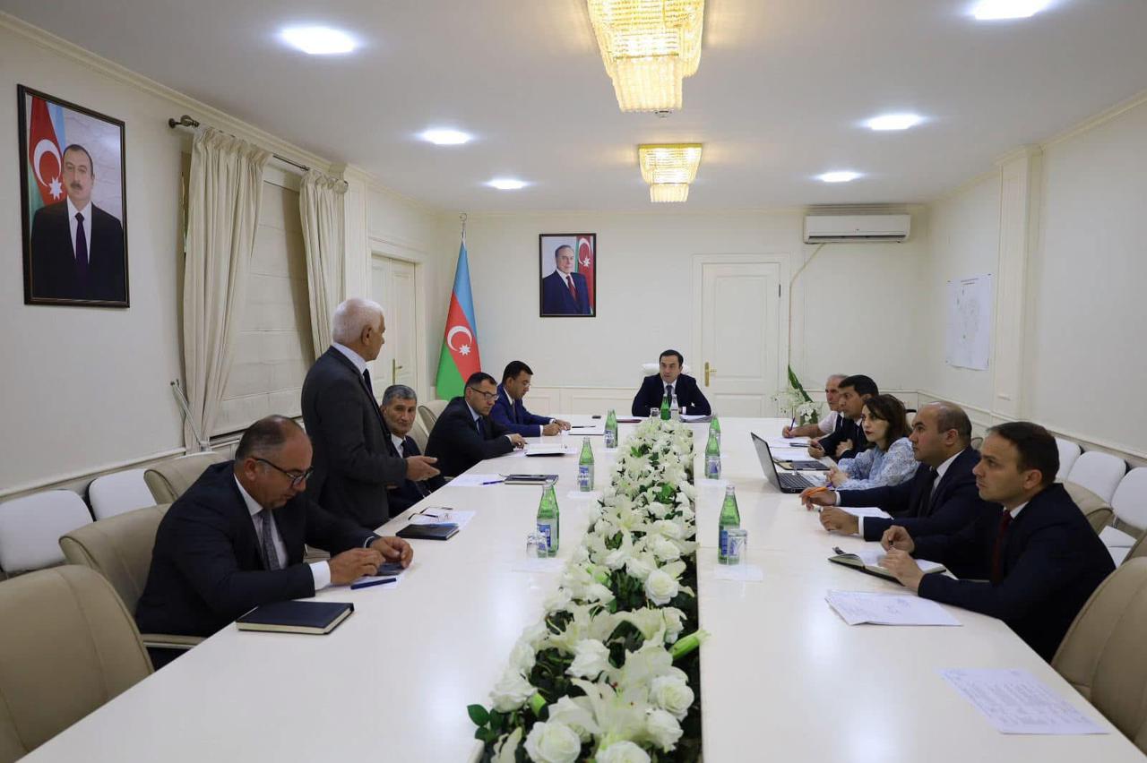 WhatsApp Image 2025-06-11 at 12.52.47.jpeg