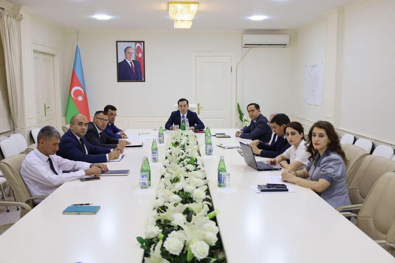 WhatsApp Image 2025-07-23 at 15.17.40.jpeg