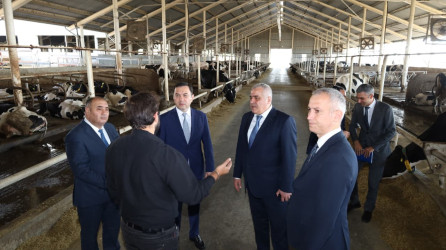 İsmayıllı rayonunda Dövlət Proqramının icrası ilə bağlı tədbir keçirilib