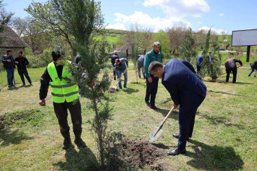 İsmayıllı rayonunda “Şəhərsalma və Memarlıq İli” çərçivəsində genişmiqyaslı ağacəkmə aksiyası keçirilib