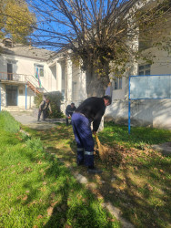 İsmayıllıda ümümrayon iməciliyi keçirilmişdir