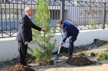 İsmayıllıda 8 noyabr - Zəfər Günü ilə əlaqədar ağacəkmə aksiyası keçirilib