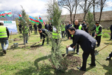 İsmayıllı rayonunda “Şəhərsalma və Memarlıq İli” çərçivəsində genişmiqyaslı ağacəkmə aksiyası keçirilib