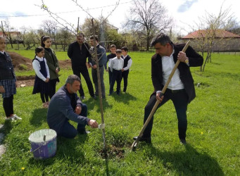 “Heydər Əliyev İli” çərçivəsində İsmayıllıda ümumrayon iməcliyi keçirilmişdir