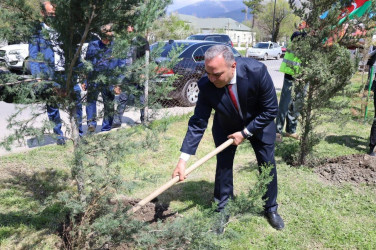 İsmayıllı rayonunda “Şəhərsalma və Memarlıq İli” çərçivəsində genişmiqyaslı ağacəkmə aksiyası keçirilib