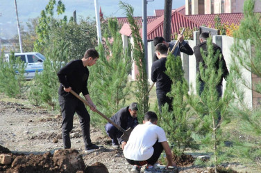 İsmayıllıda 8 noyabr - Zəfər Günü ilə əlaqədar ağacəkmə aksiyası keçirilib