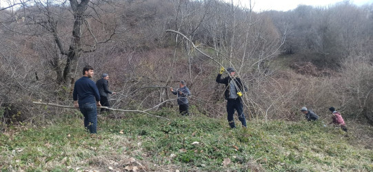 İsmayıllıda ümümrayon iməciliyi keçirilmişdir