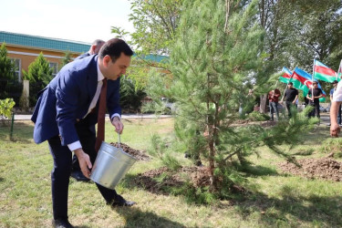 İsmayıllıda Anım Günü ilə əlaqədar ağacəkmə aksiyası keçirilib