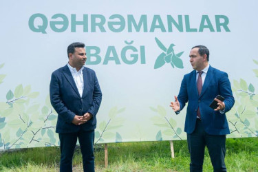 İsmayıllı rayonunda həyata keçirilən “Qəhrəmanlar Bağı” aksiyası çərçivəsində Vətən uğrunda canından keçmiş 189 şəhidimizin əziz xatirəsinə ağaclar əkildi