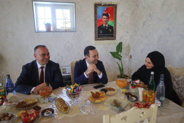 İsmayıllı rayonunda “Anım Günü” ilə əlaqədar olaraq şəhid ailələri ziyarət olunub