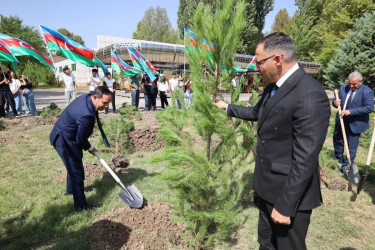 İsmayıllıda Anım Günü ilə əlaqədar ağacəkmə aksiyası keçirilib