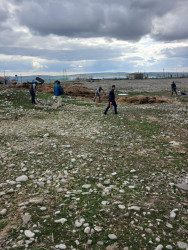 İsmayıllıda ümümrayon iməciliyi keçirilmişdir