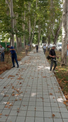 İsmayıllı rayonu ərazisində “Konstitutsiya və Suverenlik ili” çərçivəsində ümumrayon iməciliyi keçirilmişdir