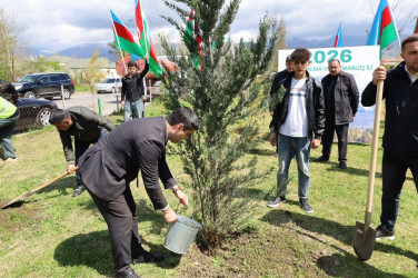 İsmayıllı rayonunda “Şəhərsalma və Memarlıq İli” çərçivəsində genişmiqyaslı ağacəkmə aksiyası keçirilib