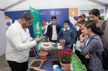 Dövlət Məşğulluq Agentliyi tərəfindən İsmayıllıda “Peşələr festivalı” keçirilib