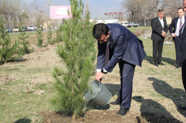 İsmayıllıda “Heydər Əliyev İli” çərçivəsində ağacəkmə aksiyası keçirilib