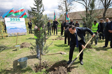 İsmayıllı rayonunda “Şəhərsalma və Memarlıq İli” çərçivəsində genişmiqyaslı ağacəkmə aksiyası keçirilib