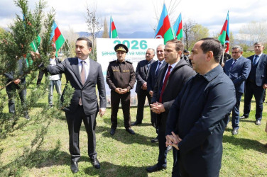 İsmayıllı rayonunda “Şəhərsalma və Memarlıq İli” çərçivəsində genişmiqyaslı ağacəkmə aksiyası keçirilib