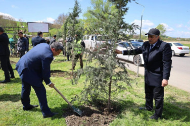 İsmayıllı rayonunda “Şəhərsalma və Memarlıq İli” çərçivəsində genişmiqyaslı ağacəkmə aksiyası keçirilib