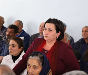 Vətəndaşlarla növbəti səyyar qəbul Qoşakənd kəndində keçirilib