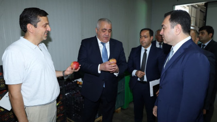 İsmayıllı rayonunda Dövlət Proqramının icrası ilə bağlı tədbir keçirilib