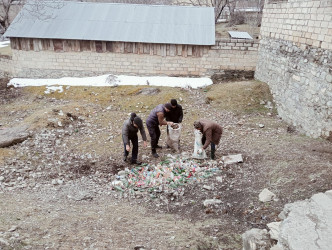 İsmayıllıda ümümrayon iməciliyi keçirilmişdir
