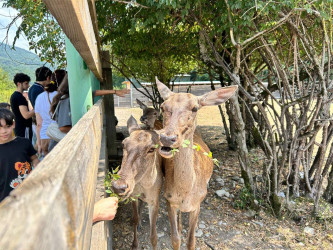 Uşaq Səfirlər Məclisinin İsmayıllı rayonu üzrə nümayəndələrinin təşəbbüsü və İsmayıllı Rayon İcra Hakimiyyətinin dəstəyi ilə Şahdağ Milli Parkının İsmayıllı bölməsinə maarifləndirici infotur təşkil edilib