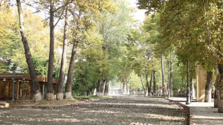 İsmayıllıda yol infrastrukturu yenilənir