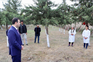 İsmayıllıda sahibsiz heyvanlar üçün nəzərdə tutulmuş sığınacağın tikintisi başa çatıb