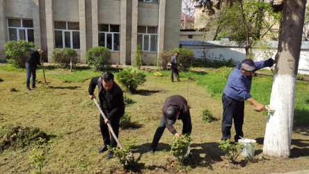 “Heydər Əliyev İli” çərçivəsində İsmayıllıda ümumrayon iməcliyi keçirilmişdir