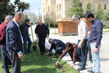 “Heydər Əliyev İli” çərçivəsində İsmayıllıda ümumrayon iməcliyi keçirilmişdir