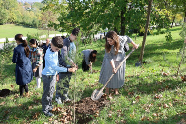 İsmayıllıda “Müstəqilliyimiz əbədidir” adlı aksiya və Uşaq Səfirləri Məclisinin görüşü keçirilib