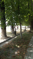 İsmayıllı rayonu ərazisində “Konstitutsiya və Suverenlik ili” çərçivəsində ümumrayon iməciliyi keçirilmişdir