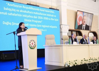 Cənab Prezidentin müəyyən etdiyi strateji hədəflərin icrası aqrar sahənin inkişafında yeni imkanlar açır