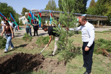 İsmayıllıda Anım Günü ilə əlaqədar ağacəkmə aksiyası keçirilib