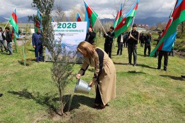 İsmayıllı rayonunda “Şəhərsalma və Memarlıq İli” çərçivəsində genişmiqyaslı ağacəkmə aksiyası keçirilib