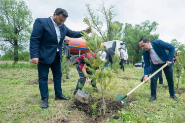 İsmayıllı rayonunda həyata keçirilən “Qəhrəmanlar Bağı” aksiyası çərçivəsində Vətən uğrunda canından keçmiş 189 şəhidimizin əziz xatirəsinə ağaclar əkildi