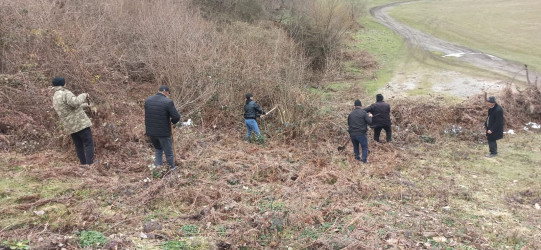İsmayıllıda ümümrayon iməciliyi keçirilmişdir