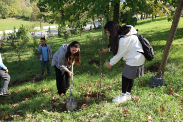 İsmayıllıda “Müstəqilliyimiz əbədidir” adlı aksiya və Uşaq Səfirləri Məclisinin görüşü keçirilib