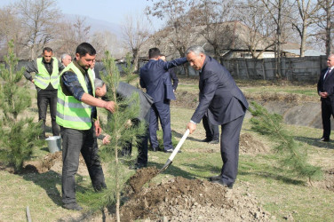 İsmayıllıda “Heydər Əliyev İli” çərçivəsində ağacəkmə aksiyası keçirilib