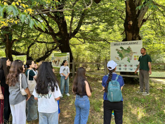 Uşaq Səfirlər Məclisinin İsmayıllı rayonu üzrə nümayəndələrinin təşəbbüsü və İsmayıllı Rayon İcra Hakimiyyətinin dəstəyi ilə Şahdağ Milli Parkının İsmayıllı bölməsinə maarifləndirici infotur təşkil edilib