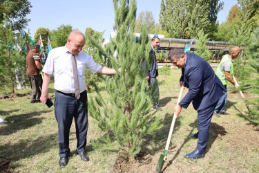 İsmayıllıda Anım Günü ilə əlaqədar ağacəkmə aksiyası keçirilib