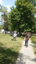 İsmayıllı rayonu ərazisində “Konstitutsiya və Suverenlik ili” çərçivəsində ümumrayon iməciliyi keçirilmişdir