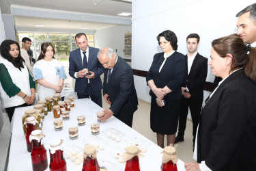 İsmayıllıda “Konstitusiya və Suverenlik İli” çərçivəsində sərgi təşkil olunub